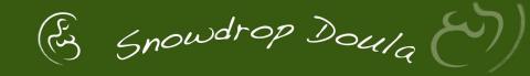 Snowdrop Doula logo
